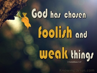 1 Corinthians 1:27 God Chose Foolish and Weak Things (brown)